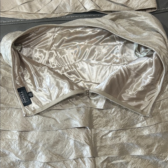 Adrianna Papell Events Essentials Elegant Beige Two-Piece Skirt Set. Size 10/12 - Picture 5 of 9